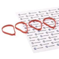 DR.MOTOR AUTOMOTIVE Dichtungssatz, Ansaugkrümmer