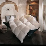 BettwarenShop Daunendecke Toronto extra warm, 10 cm Innensteg, Füllung: 90% Daunen 10% Federn 135x200 cm