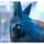 Semic Middle Totoro Figur 37 cm