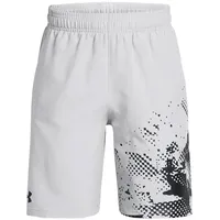 Under Armour Tech Woven Graphic Kurze Hose - Mod