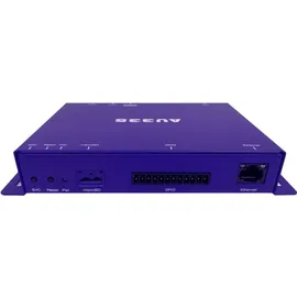 BrightSign AU335 Digital Signage Audioplayer