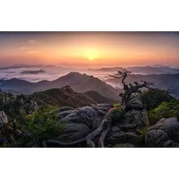 Papermoon Fototapete PAPERMOON "Photo-Art TIGER SEO, SONNENAUFGANG AUF DER SPITZE", bunt, B:4m L:2,6m, Vlies, Tapeten