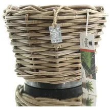 Van der Leeden DRYPOT® Rattan Pflanzgefäß Grau Ø ca. 24 cm - Sylter Körbe