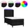 vidaXL Boxspringbett 100 x 200 cm Schwarz