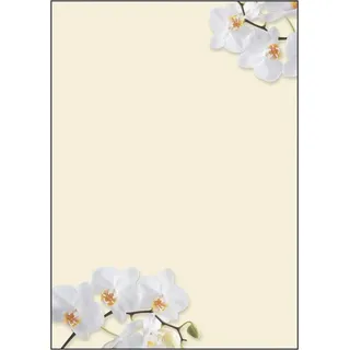 Sigel Motivpapier White Orchid Motiv DIN A4 90 g/qm 50 Blatt