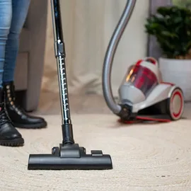 Dirt Devil DD2502 grau/rot