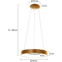 Steinhauer LED-Hängeleuchte Ringlede, Ø 48 cm, Gold