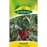 Quedlinburger 447434 Mangold Ampera F1 Mangoldsamen