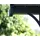 CANOPIA Carport Arcadia 359 x 507 cm
