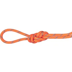 Mammut 75 Alpine Sender Dry Rope 60m Kletterseil fire blue