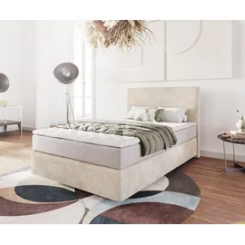 DeLife Dream-Well 120 x 200 cm H2/H3 Cord beige