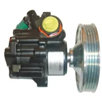 Lizarte 04.11.0215-1 Hydraulikpumpe Riemenscheiben-Ø: 108mm, Rippenanzahl: 4