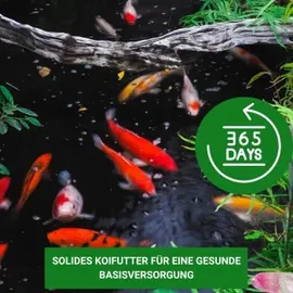 Kenkou Fischfutter Koi Color 15 kg