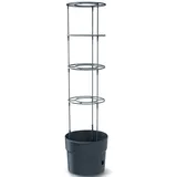 Prosperplast Tomatentopf Rankhilfe Anzuchttopf für Tomate Grower Pflanzkübel aus Kunststoff in Anthrazit (L) x 29,5 cm