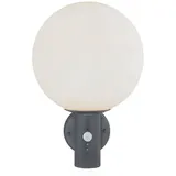 GLOBO Wandleuchte anthrazit, Glas, weiß, Edelstahl 1x E27, Dxh 25x37 cm