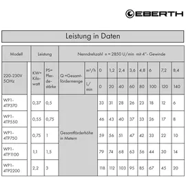 Eberth Tiefbrunnenpumpe 4" Edelstahl 550W 20m Kabel max. Förderhöhe 43m mit Schmutzsieb
