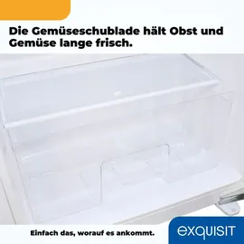 Exquisit EKS131-V-FE-090E Einbaukühlschrank (135 l, 880 mm hoch, Weiß)