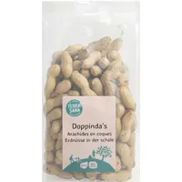 Terrasana Erdnüsse in Schale geröstet bio