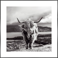 Reinders! Wandbild »Slim Frame Highland Cow«, (BH 50x50 cm