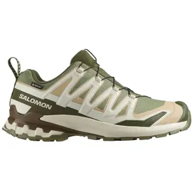 Salomon XA Pro 3D V9 GTX Herren Deep Lichen Green/Safari/Dark Earth 48