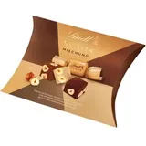 Lindt Pralinen NUXOR Mischung Kissenpackung, 206g, 16 Stück