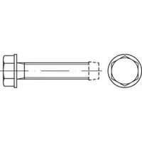 Industrial Quality Supplies DIN 7500 Form D Gewindefurchende Sechskant-Flanschschraube