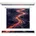 Celexon Leinwand Motor Expert 250 x 250 cm