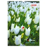 Calvendo Tulpen. Bunter Frühling (Wandkalender 2026 DIN A3 hoch),