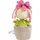NICI 48942 Blume