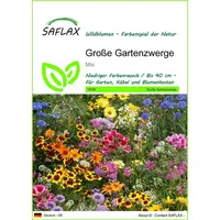 SAFLAX - Große Gartenzwerge - 1000 Samen - 20