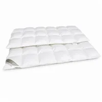 Betten Hofmann Sibiria exclusiv Daunendecke Daunenbett 6x8 135x200 sibirische Wildgans - Weiß