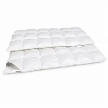 Betten Hofmann Sibiria exclusiv Daunendecke Daunenbett 6x8 135x200 sibirische Wildgans - Weiß