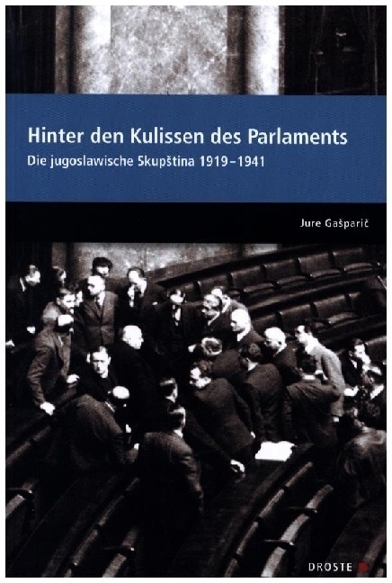 Parlamente In Europa / Hinter Den Kulissen Des Parlaments - Jure Gasparic  Kartoniert (TB)