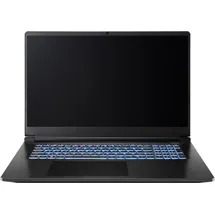 CAPTIVA Advanced Gaming I94-374GE 17,3'' Intel Core i7-13620H 32 GB RAM 2 TB SSD RTX 5070 Win11 Home