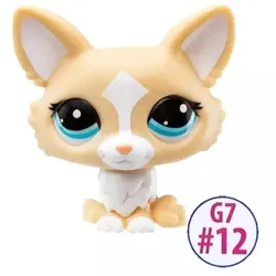 Littlest Pet Shop: Figur Nr. 12 - Chihuahua