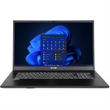 WORTMANN Terra Mobile 1716U i5-1235U W11P - Grau