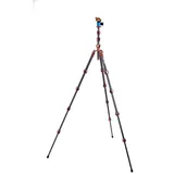 3 legged thing Pro 2.0 Albert Bronze