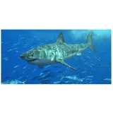 FANSU Strandtücher Microfaser Gross, Ozean Tier Drucken Strandtuch Mikrofaser Strandhandtuch Erwachsene & Kinder Sommer Badetuch für Reise Strand Schwimmen (Grauer Hai,150x180cm)