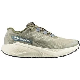 Salomon Aero Blaze 3 GRVL Herren Grün 42