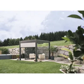 Biohort Pergola 3 x 3 m Dunkelgrau/Silber-metallic