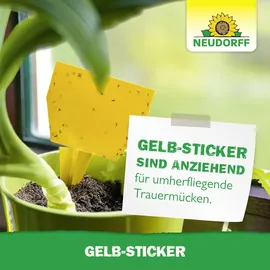 NEUDORFF Gelb-Sticker 10 Stück