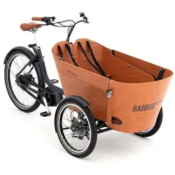 Babboe Carve Mountain Lastenfahrrad 500 Wh