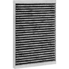 WOLF-Garten Aktivkohlefilter ePM 2,5 50% Set a 2 Stück