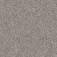 Eurostone Terrassenplatte Feinsteinzeug Padang Dunkel Glasiert 100 x 100 x 2 cm