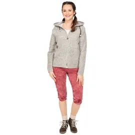 Alp1964 Trachtenjacke 195301 silber XXL