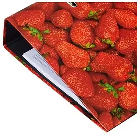 Herlitz maX.file Motivordner Erdbeere DIN A4 80 mm Rot 1 St.