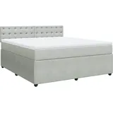 vidaXL Boxspringbett mit Matratze Hellgrau 180x200 cm Samt