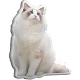 Personalisiertes Kissen Mit Foto, 3D Haustier Hund Katze Bedrucken Lassen Mit Gesicht mit Foto, Lustige Fotogeschenke, Personalisierte Geschenke für Jahrestag, Geburtstag, Valentinstag