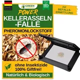 green guardia Kellerasseln Falle Pheromonfalle 2 St.