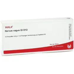 Nervus Vagus Gl D12 Ampullen